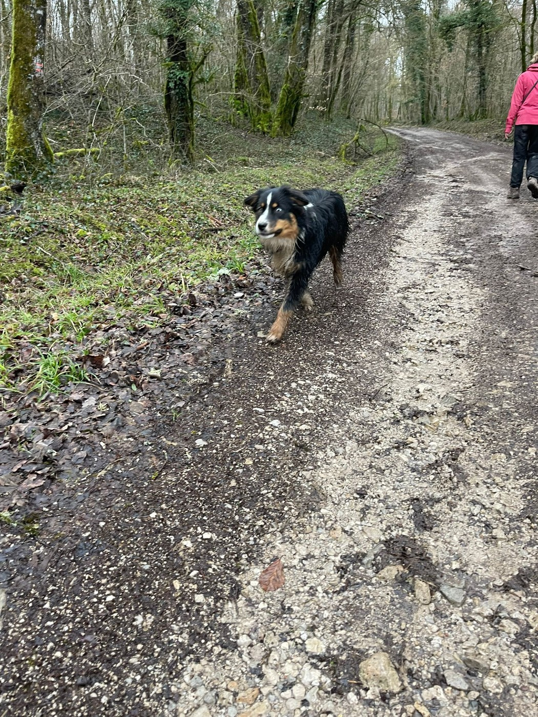 Western And Co Angélite