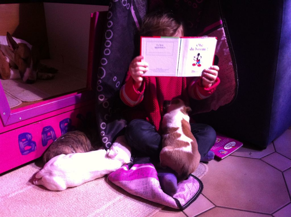Bébés né à l'élevage
